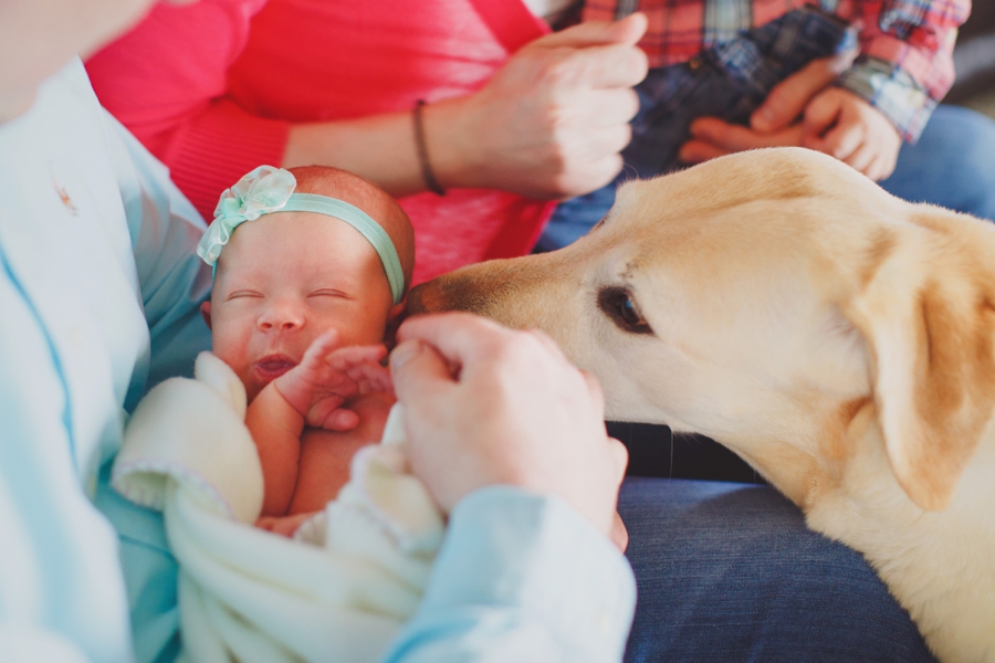 BaileeNewborn_39_Blog